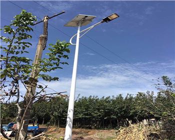 甘肅西安藍田縣竹峪鎮新農村太陽能路燈